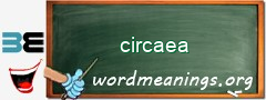 WordMeaning blackboard for circaea